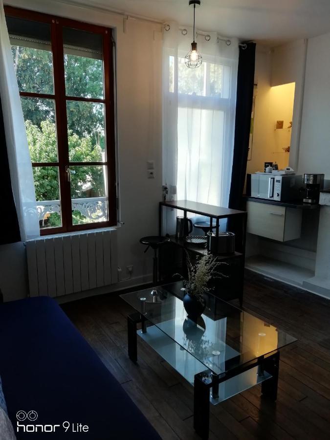 Centre Troyes Avec Vue Sur Parc, Simplicite D'Acces, Charme Et Confort Garanti Εξωτερικό φωτογραφία