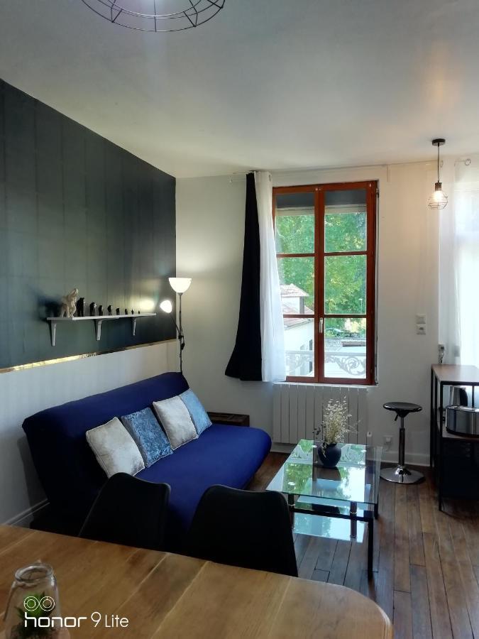 Centre Troyes Avec Vue Sur Parc, Simplicite D'Acces, Charme Et Confort Garanti Εξωτερικό φωτογραφία